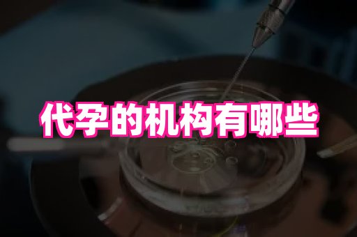 河南助孕网站 2
