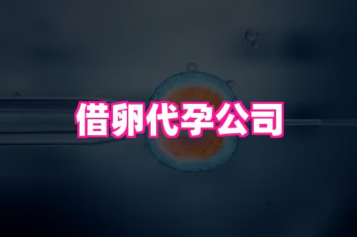 河南助孕网站 4